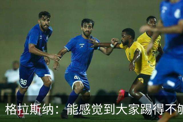 格拉斯纳：能感觉到大家踢得不够放松，我们肩上背着包袱